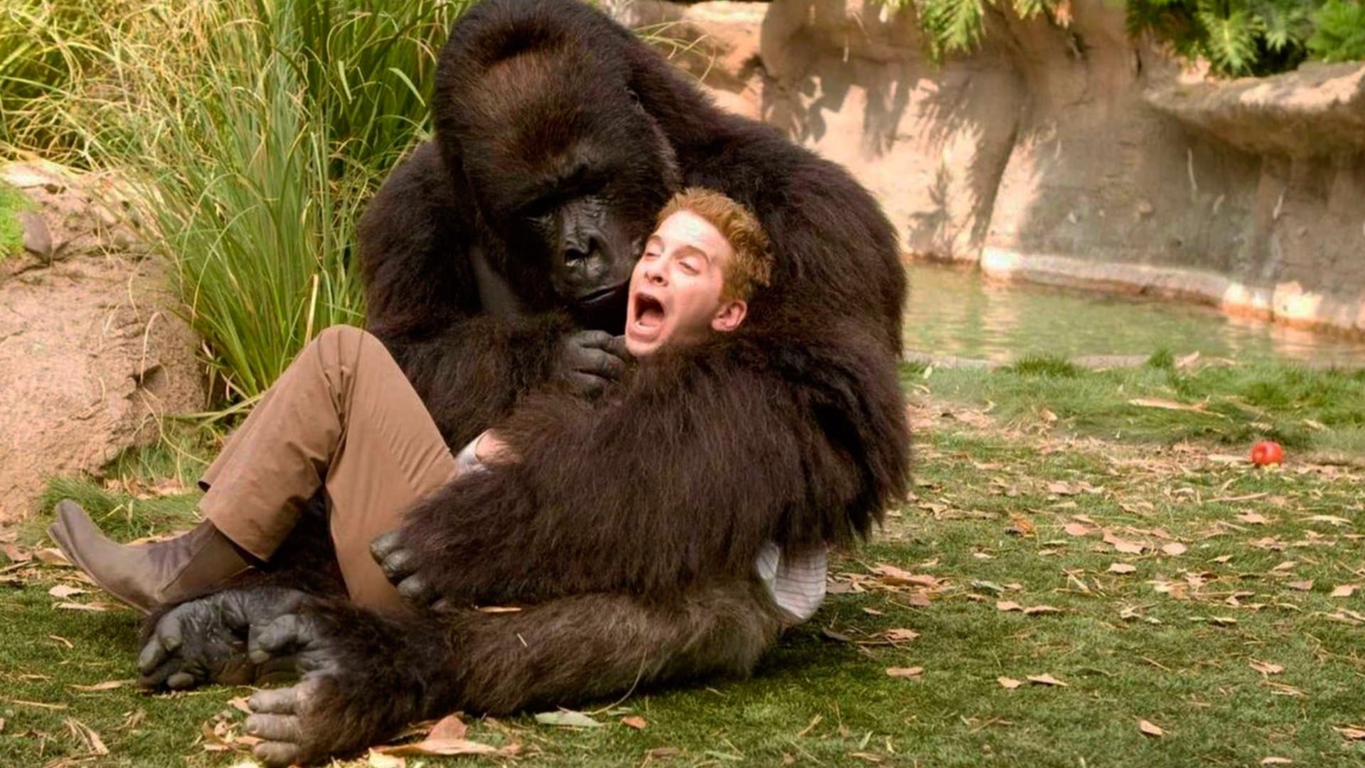 คู่ป๊ะป๋าซ่าส์ลืมแก่